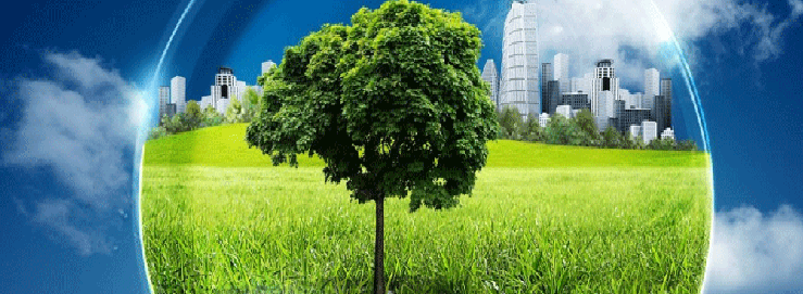 About Creative Analytical Lab & Consultant - environmental lab in Delhi